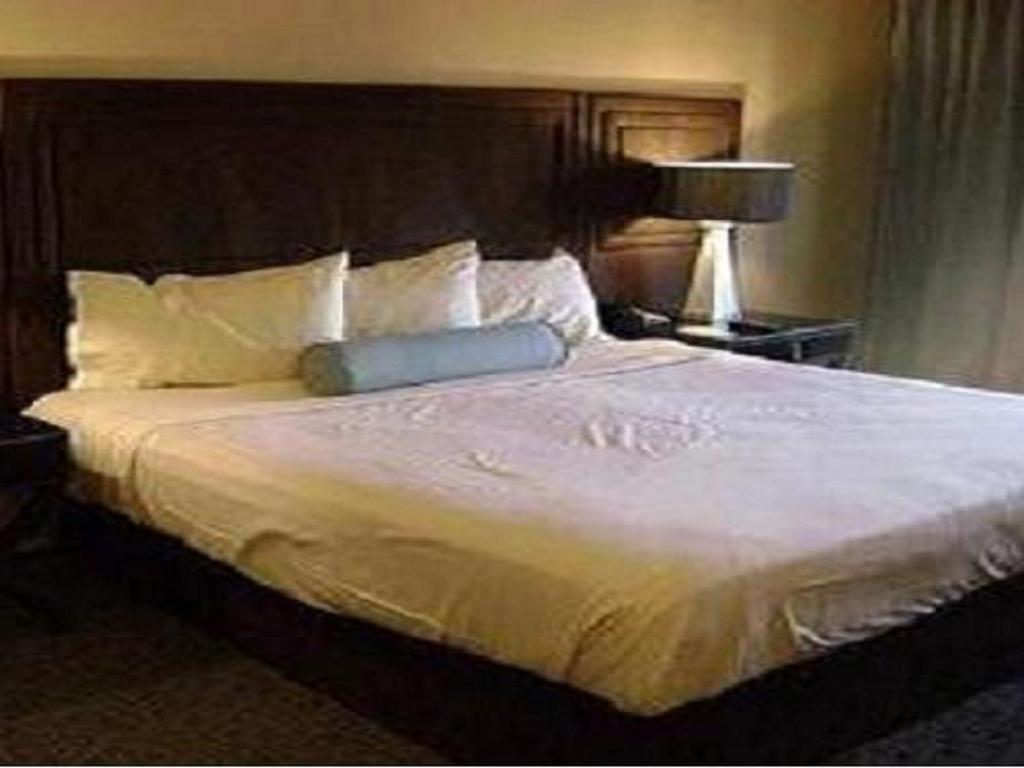 Hotel Sagar Castle Ratlam Номер фото
